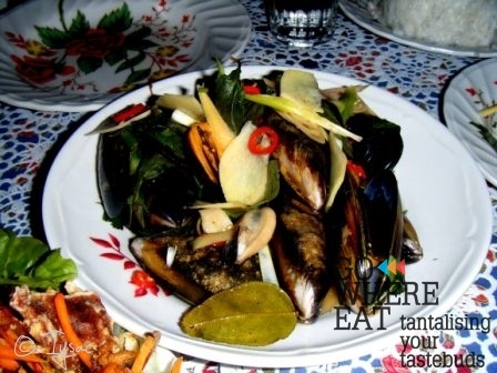 Mussels Mussels