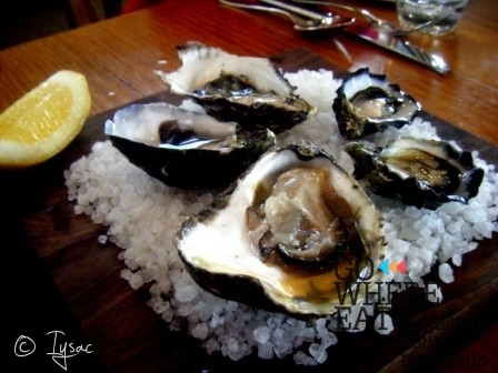 Raw oysters Raw oysters